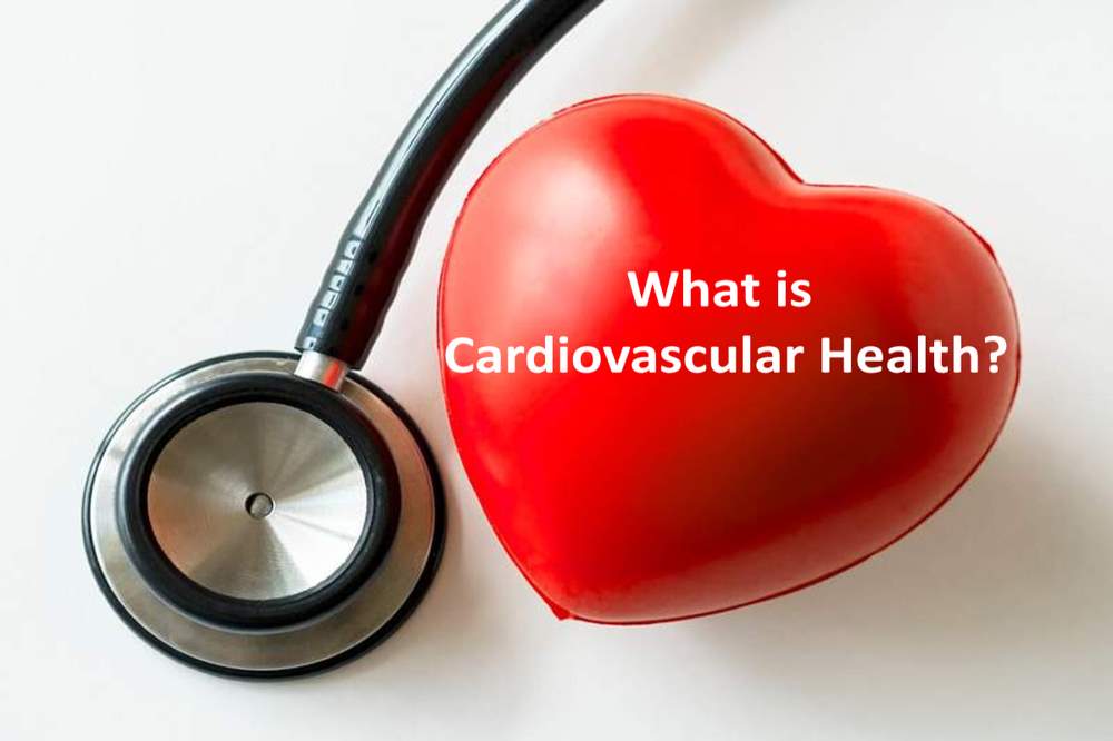 What is Cardiovascular Health?