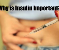 What is Insulin?